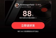 黑胶vip