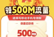 闲鱼500m流量