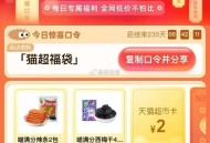 猫超首页-右下角-惊喜口令 ,输入： 猫超福袋 ,🕑0点1元，🕑15点2元 ,限量猫卡，可能延迟