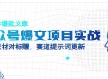 公众号爆文项目实战，AI创作爆款文章，起号素材对标赠（附赛道AI提示词）