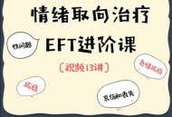 EFT夫妻咨询进阶核心13讲 价值1300元课程