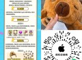 Apple授quan店 ,领取冒险者日记周边帽子 ,贴纸和其他 有兴趣看看, 🔗mp://U81E