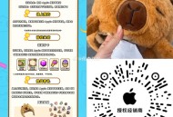 Apple授quan店 ,领取冒险者日记周边帽子 ,贴纸和其他 有兴趣看看, 🔗mp://U81E