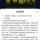 【虚拟道具】猫之城福利