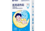 金士达温感退热贴+德芙恋语礼盒+飞科剃须刀2025年2月9日其他剁手商品