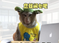 2025回复老板的搞笑表情包_适合发给领导的表情图片