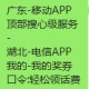 广东移动+湖北电信 ,有流量包/话fei自测 ​​​