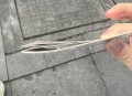 反馈某鱼 富苏季 的体 c拿到了 ,大概20张哈 ​​​