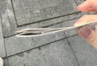 反馈某鱼 富苏季 的体 c拿到了 ,大概20张哈 ​​​