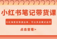 小红书笔记带货课，大红海类目快速出单，市场大，可以多店模式运作
