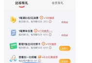 云闪fu 还kuan 部分有10-2 ​​​